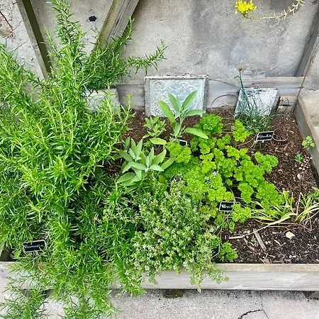 Maison L'oeil Du - Centre - Terrasse - Wifi - 7 Couchages - 10 Personnes - Garage Vélo Et Moto - Géré Par Prestazen'services * Verdun